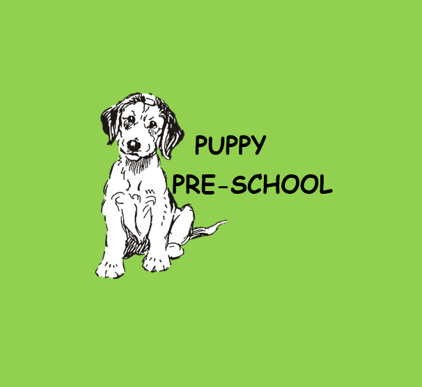 Puppy Pre-School Sun Valley